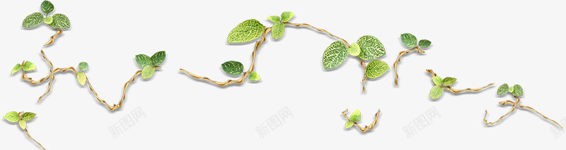 创意合成绿色的藤蔓植物png免抠素材_新图网 https://ixintu.com 创意 合成 植物 绿色 藤蔓