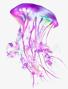 水母元素png免抠素材_新图网 https://ixintu.com 可爱 水母 海洋 生物 蓝色