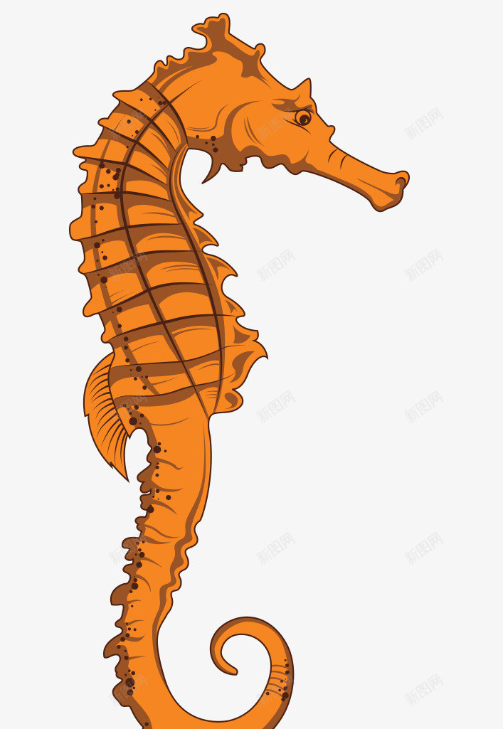 卡通手绘橙色海马海洋动物png免抠素材_新图网 https://ixintu.com 卡通的海马 平面海洋动物 手绘的海马 橙色的海马 海洋动物