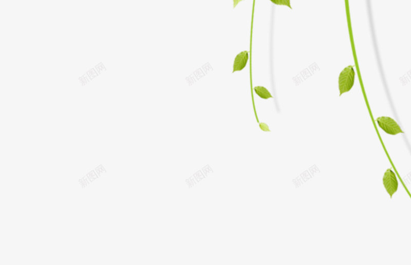 藤蔓花朵png免抠素材_新图网 https://ixintu.com 叶子 绿色 花朵 花边 藤蔓 装饰
