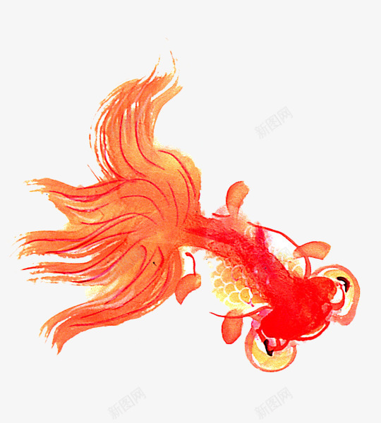 水彩红色金鱼png免抠素材_新图网 https://ixintu.com 卡通 宠物鱼 手绘 绘画 金鱼 鱼
