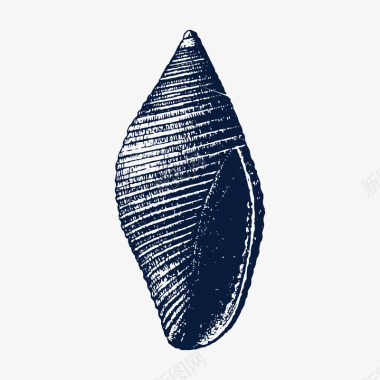 黑色海螺贝壳装饰图标图标