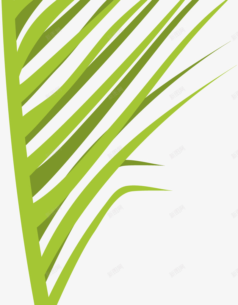 棕榈叶叶子png免抠素材_新图网 https://ixintu.com 夏天 异国情调 手绘 树叶 树木 棕榈叶 棕榈叶子 棕榈树 植物 热带 热带植物 环境 绘画 自然