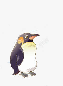 游禽耐寒的企鹅高清图片