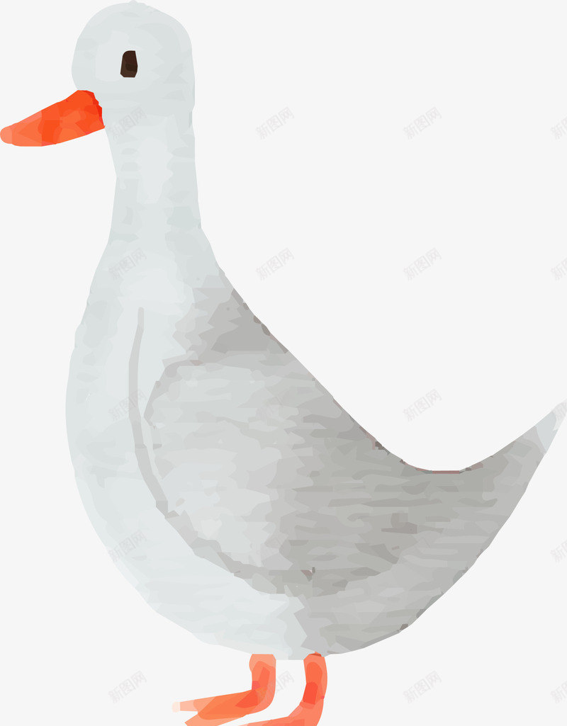 手绘可爱白色鸭子png免抠素材_新图网 https://ixintu.com 可爱鸭子 手绘鸭子 水彩动物 水彩鸭子 白色鸭子 绘画