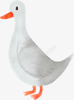 手绘可爱白色鸭子素材