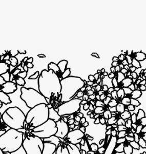 黑白花朵png免抠素材_新图网 https://ixintu.com 树藤 白色 线描 花叶 花朵 黑色