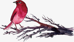 红色水彩手绘小鸟素材