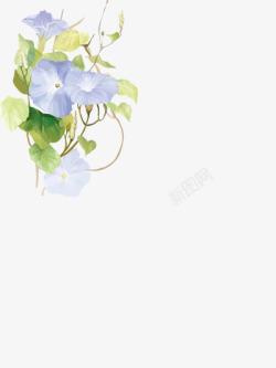 蓝色蔓藤花卉专辑高清图片