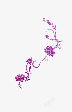 紫色蔓藤紫色花纹高清图片