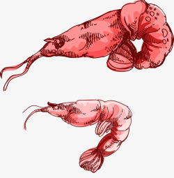 手绘复古海鲜水虾产素材