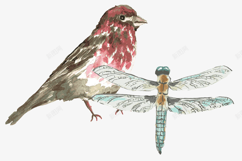 手绘动物png免抠素材_新图网 https://ixintu.com 动物 卡通 印花 手绘动物 插画 松鼠 森林 艺术 蜻蜓 鸟