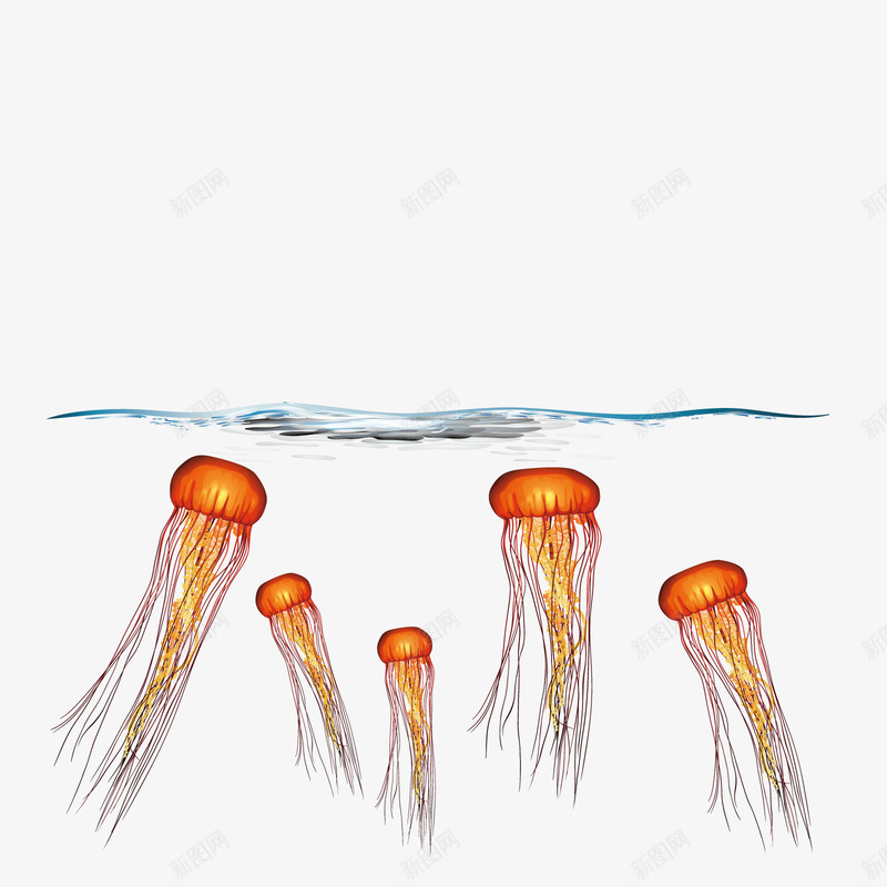 电水母矢量图ai免抠素材_新图网 https://ixintu.com 橙色 海洋 湖面 装饰 矢量图