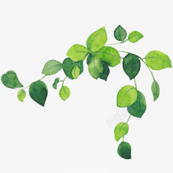 绿色布料手绘绿叶藤蔓装饰高清图片