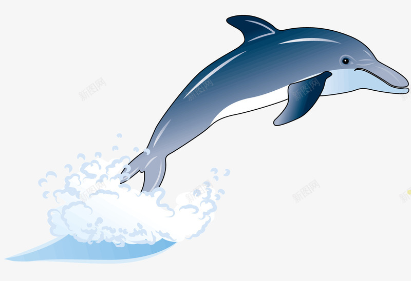 跳跃的海豚png免抠素材_新图网 https://ixintu.com 动物 卡通 海洋 海洋生物 海豚 跳起的海豚 鱼