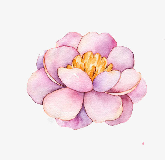 手绘水彩粉色花瓣花朵png免抠素材_新图网 https://ixintu.com 布料印花 手绘 水彩 花卉 花朵 花瓣 装饰