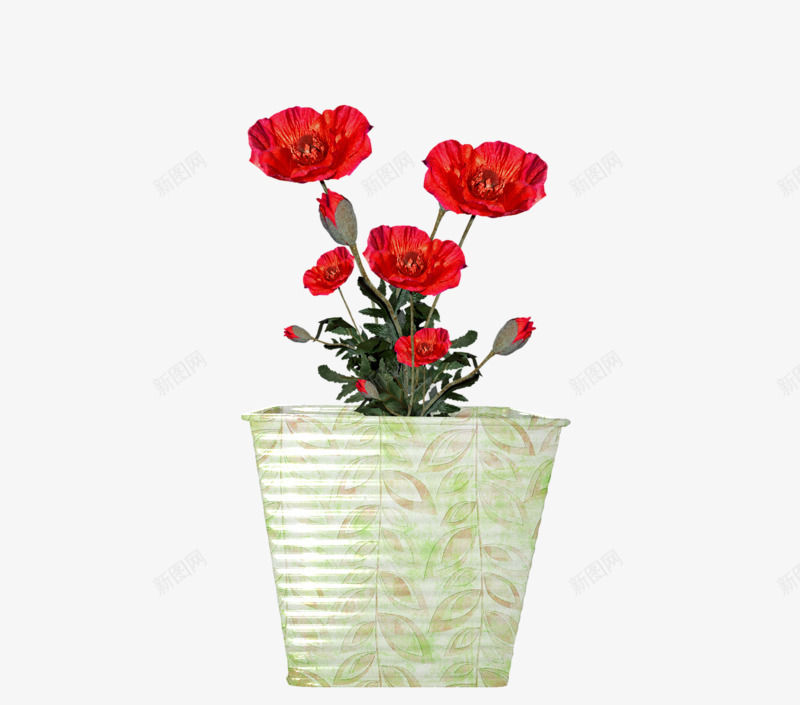 白色花纹花盆png免抠素材_新图网 https://ixintu.com 印花 白色 红色 纹理 花朵 花盆