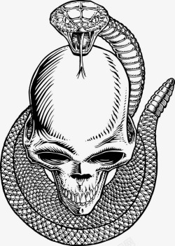 蛇毒骷髅黑白骷髅头印花高清图片