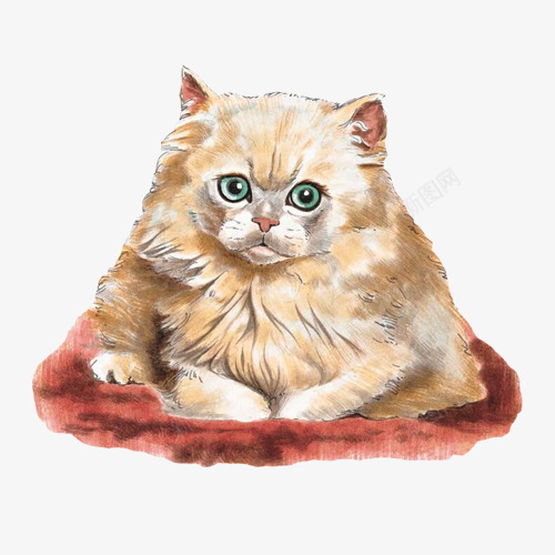 波斯猫水彩画片png免抠素材_新图网 https://ixintu.com 手绘画 波斯猫 波斯猫插画 猫咪 瞪眼睛 红色蒲团 黄色波斯猫