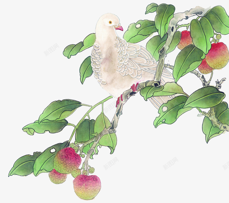 中国风水墨国画花鸟png免抠素材_新图网 https://ixintu.com 中国风的花鸟 国画的鸟 平面中国风素材 水墨花鸟