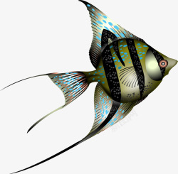彩绘海洋生物鱼类高清图片