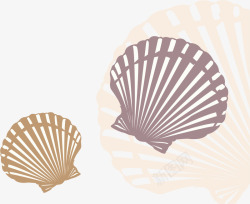 贝壳花纹矢量图素材