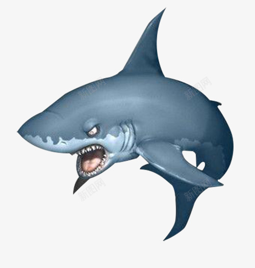 3D大白鲨png免抠素材_新图网 https://ixintu.com 3D 凶猛 卡通 大白鲨 海洋 鱼类