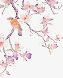 紫色中国风花鸟装饰图案素材