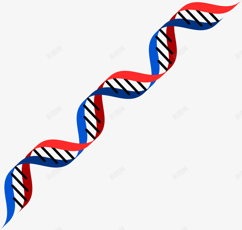 多色彩带透明背景图png免抠素材_新图网 https://ixintu.com 彩带 红色 蓝色 装饰 装饰元素