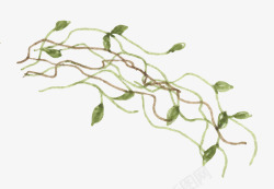 手绘水彩植物绿叶花藤素材