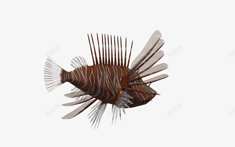 3d动物海底png免抠素材_新图网 https://ixintu.com 3d动物 3d卡通动物 卡通动物 海底生物 海洋 海洋素材