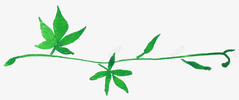 绿色藤蔓树叶png免抠素材_新图网 https://ixintu.com 手绘植物 水彩植物 水彩藤蔓 绿叶 绿色植物