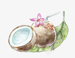 手绘椰子汁素材