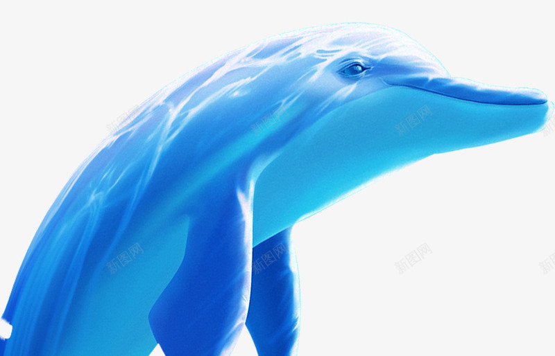 蓝色的海洋海豚png免抠素材_新图网 https://ixintu.com 实物 海洋 海豚 蓝色 蓝色海洋