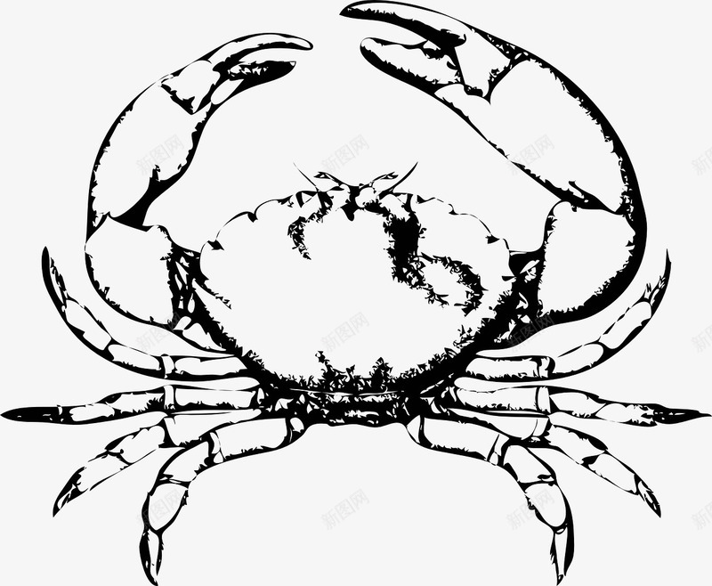 手绘螃蟹图标png_新图网 https://ixintu.com 海洋 螃蟹 食物