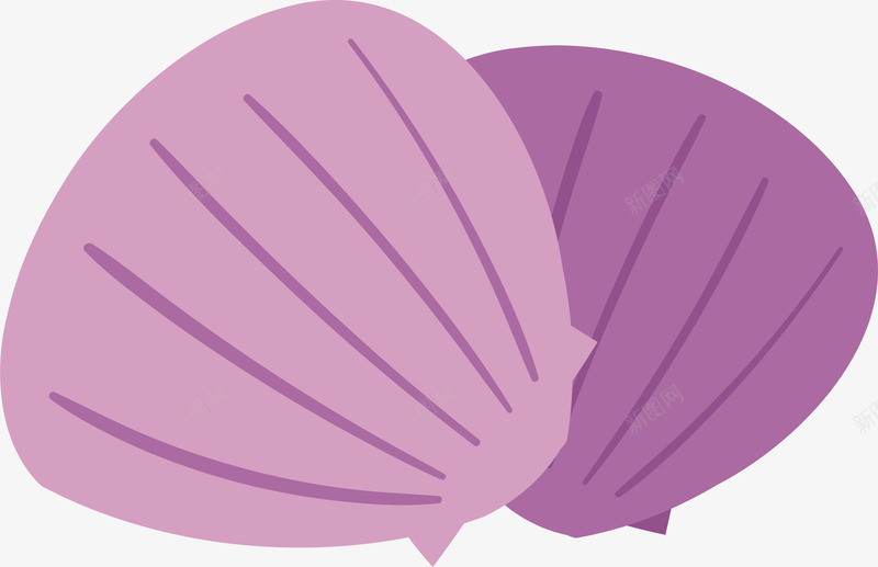 紫色贝壳png免抠素材_新图网 https://ixintu.com 创意 卡通 手绘 海洋 紫色 设计 贝壳