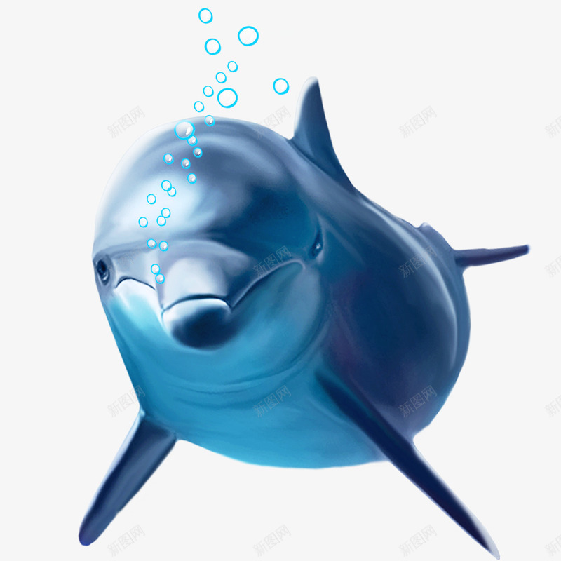 吐泡泡的蓝色海豚png免抠素材_新图网 https://ixintu.com 动物 卡通手绘 宠物 水彩 泡泡 海洋 海豚 蓝色 鱼吐出来的气泡