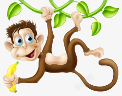 吃香蕉小猴子藤蔓的小猴子高清图片