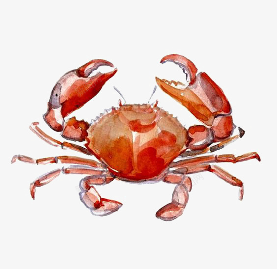螃蟹png免抠素材_新图网 https://ixintu.com 卡通 大闸蟹 手绘 海洋 食物