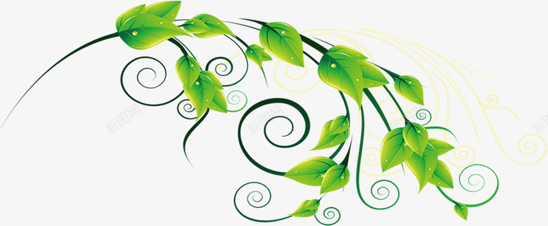 绿色藤蔓植物装饰png免抠素材_新图网 https://ixintu.com 植物 绿色 藤蔓 装饰