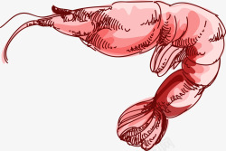 卡通手绘粉色基围虾素材