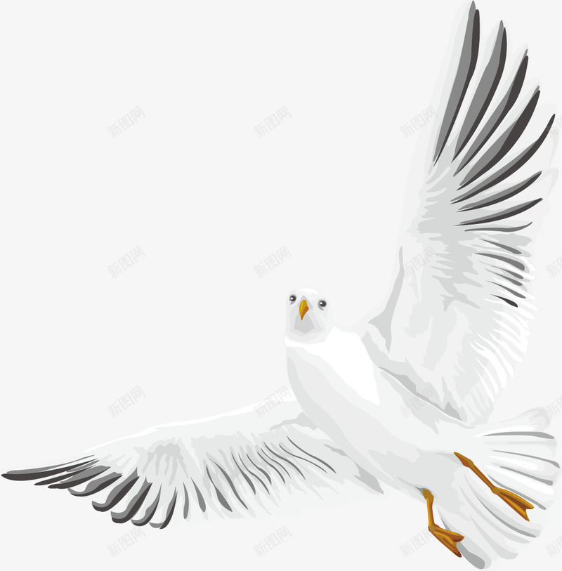扁平飞翔的白鸽png免抠素材_新图网 https://ixintu.com 扁平白鸽 白色鸟 飞翔的白鸽 鸽子
