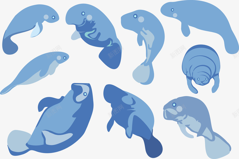 蓝色海豹png免抠素材_新图网 https://ixintu.com 免费 免费素材 海洋动物 海豹