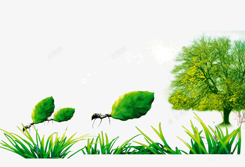 绿色草丛png免抠素材_新图网 https://ixintu.com 插画 树叶 树木 绿色 蚂蚁