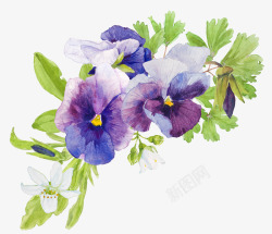 手绘紫色花卉花朵素材