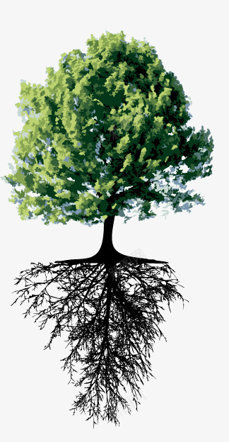 连根的树木png免抠素材_新图网 https://ixintu.com 树 树形 树木 树根 根部