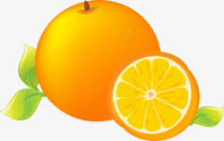 橙色卡通橘子素材
