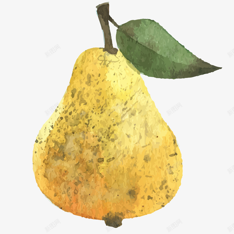 水彩绘水果矢量图ai免抠素材_新图网 https://ixintu.com 彩绘 手绘 梨 植物 水彩 水果 食物 黄色 矢量图