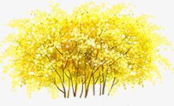 黄色枫树彩绘素材