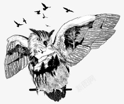 素描猫头鹰飞翔的猫头鹰素描高清图片